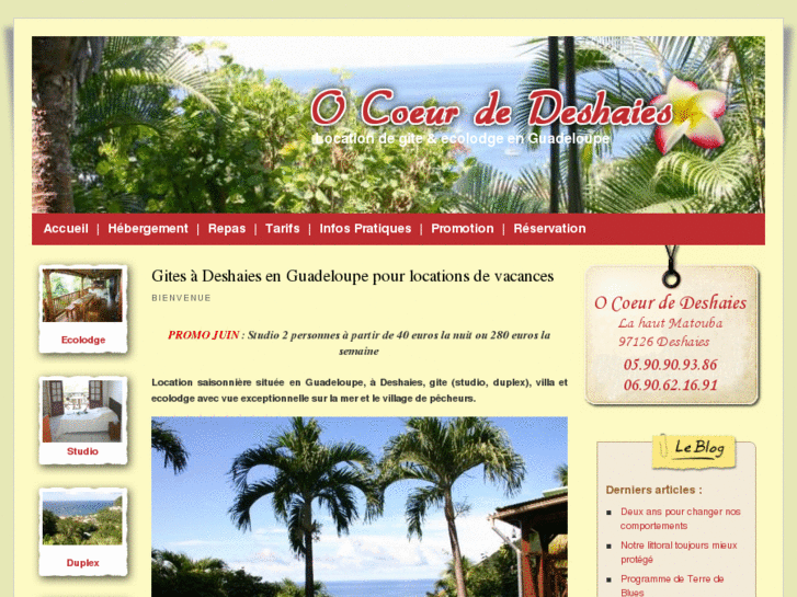 www.location-gite-ecolodge-guadeloupe-deshaies.com