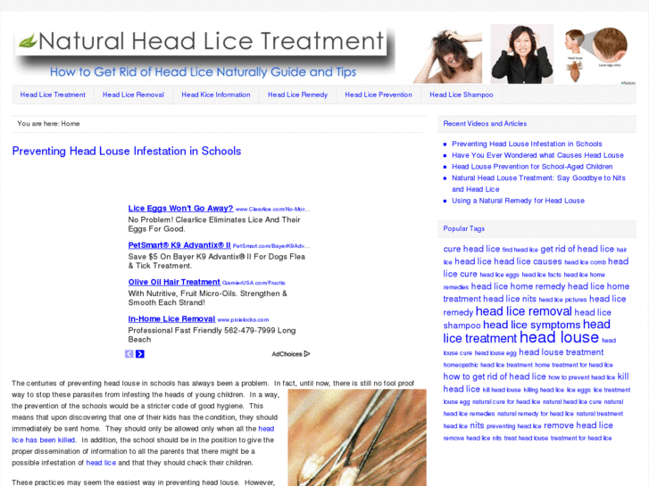 www.naturalheadlicetreatment.net