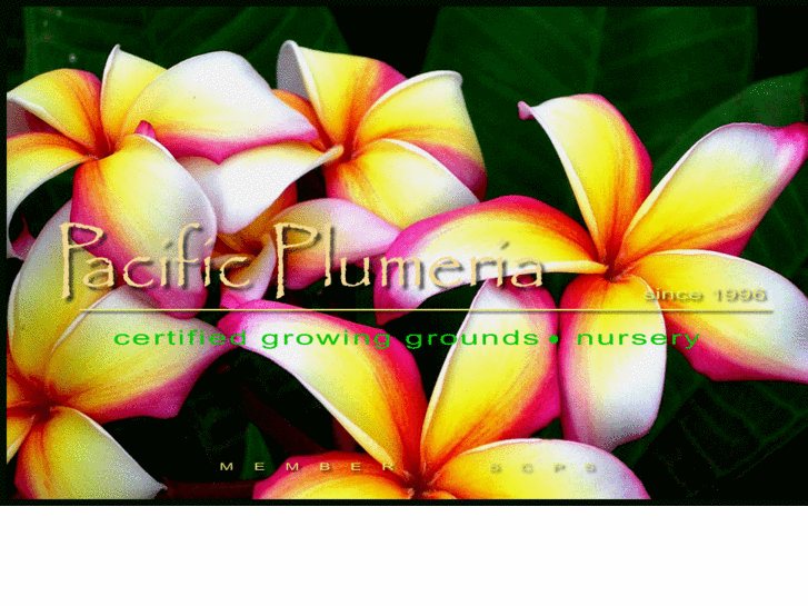 www.pacificplumeria.com