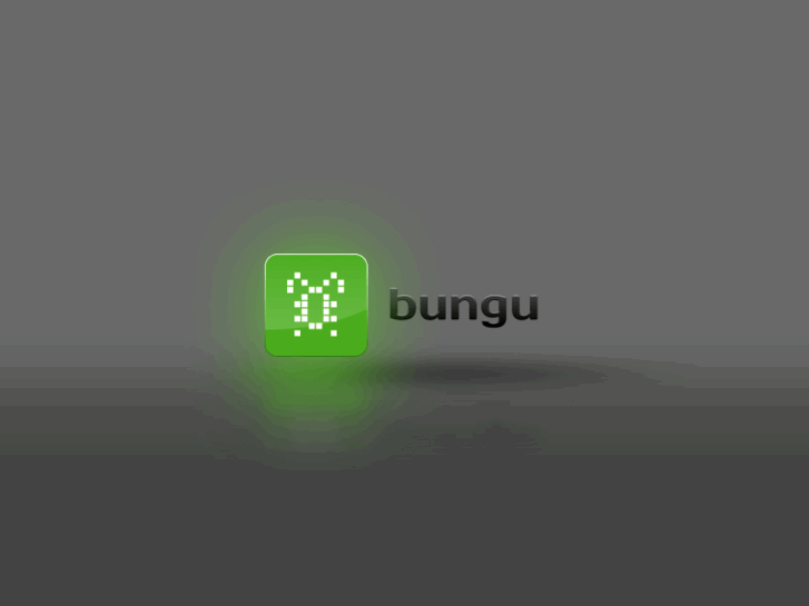 www.bungu.ru