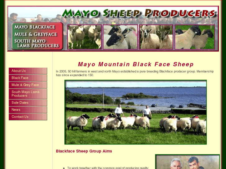 www.mayoblackface.com