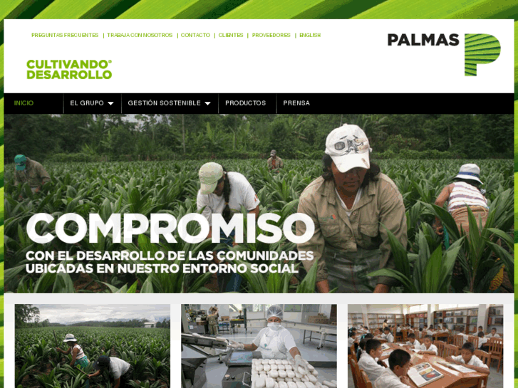 www.palmas.com.pe