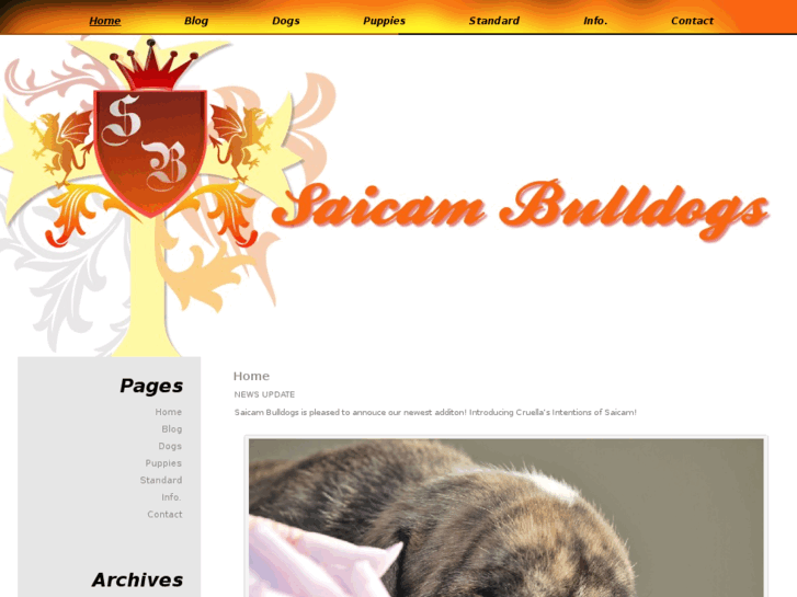 www.saicambulldogs.com