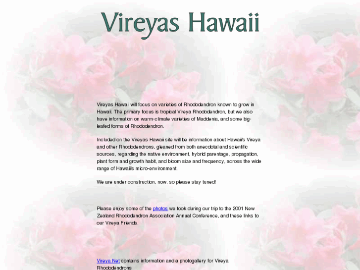 www.vireyas.com