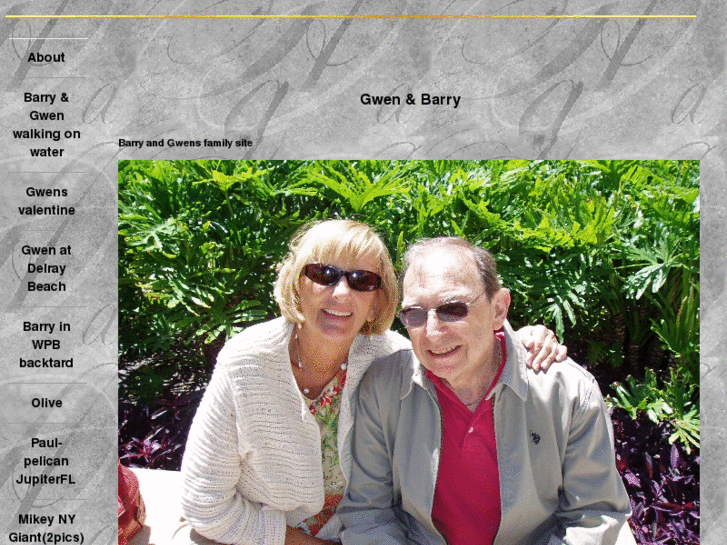 www.barrylevine.net