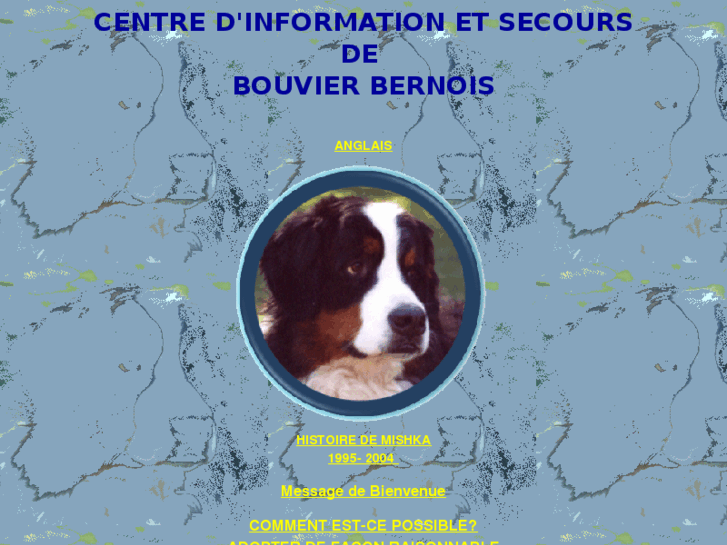 www.centre-info-bernois.com