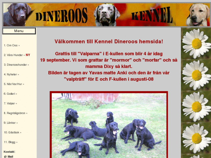 www.dinerooskennel.se