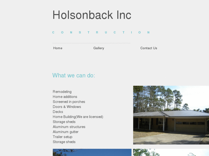 www.holsonbackinc.com