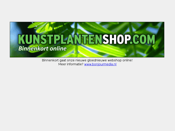 www.kunstplantenshop.com