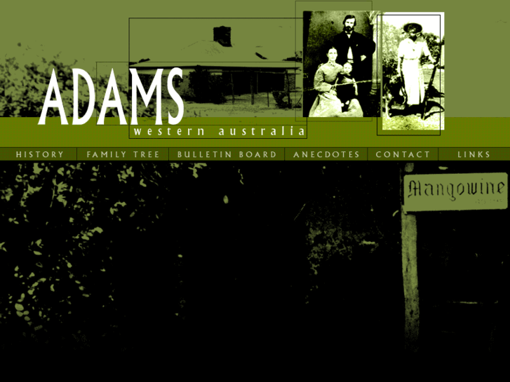 www.adamswa.com