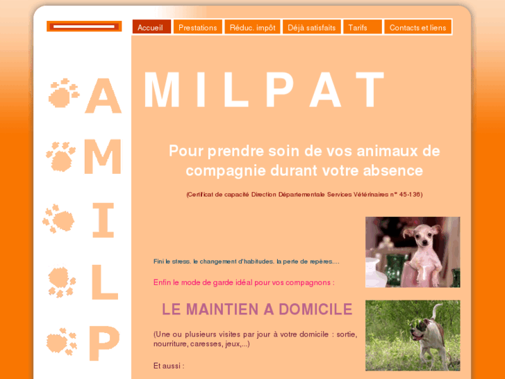 www.amilpat.com