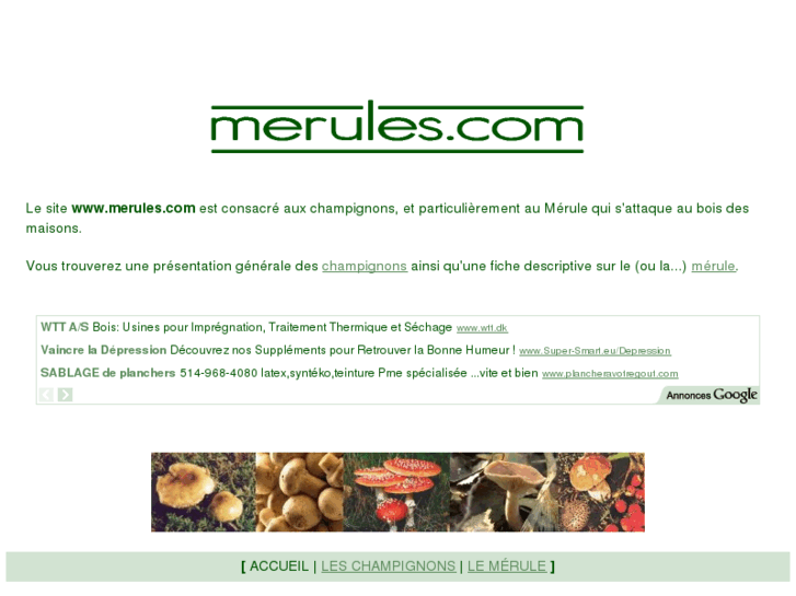 www.merules.com