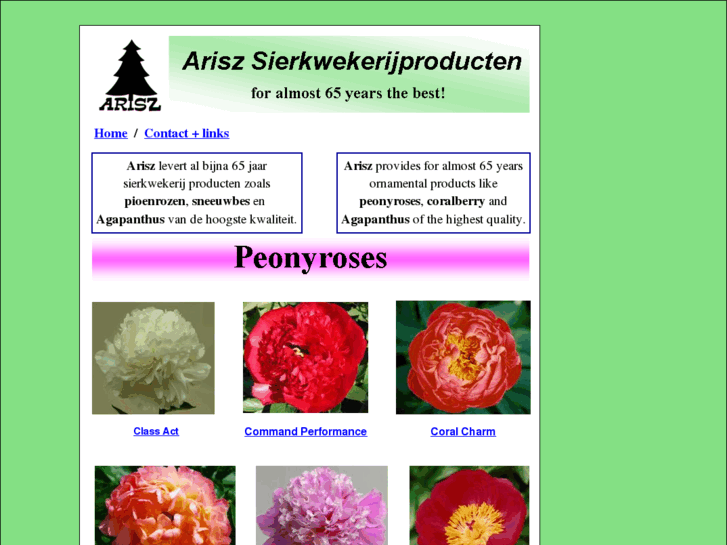 www.peonyroses.eu