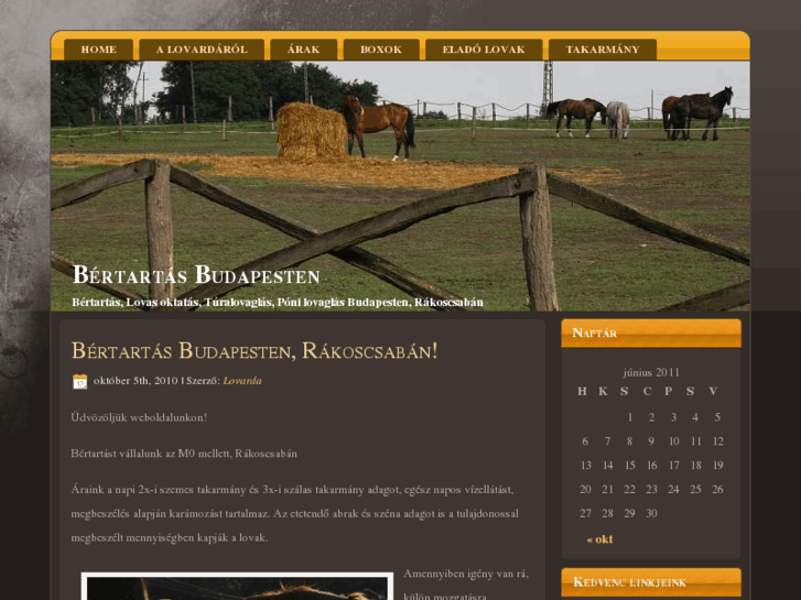 www.bertartas.info