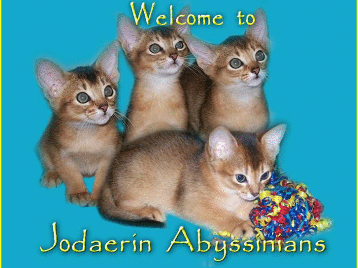 www.jodaerinabyssinians.com