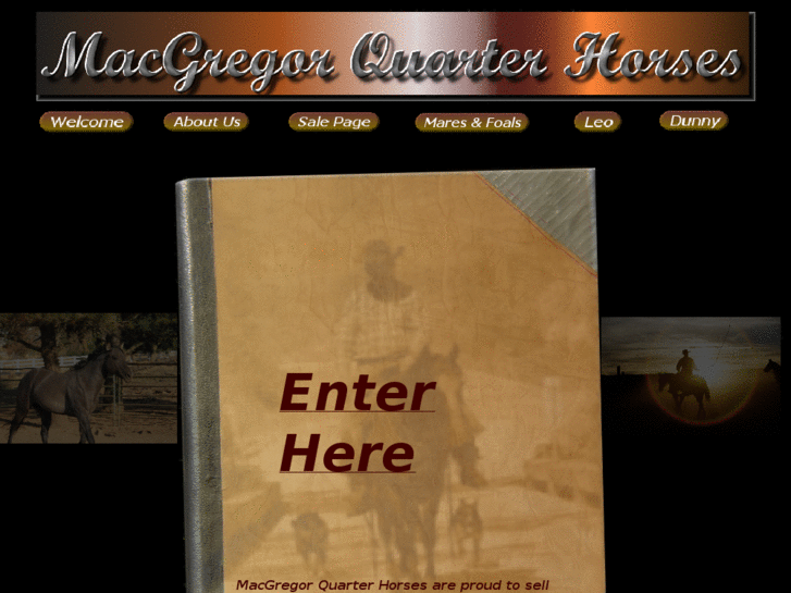 www.macgregorquarterhorses.com