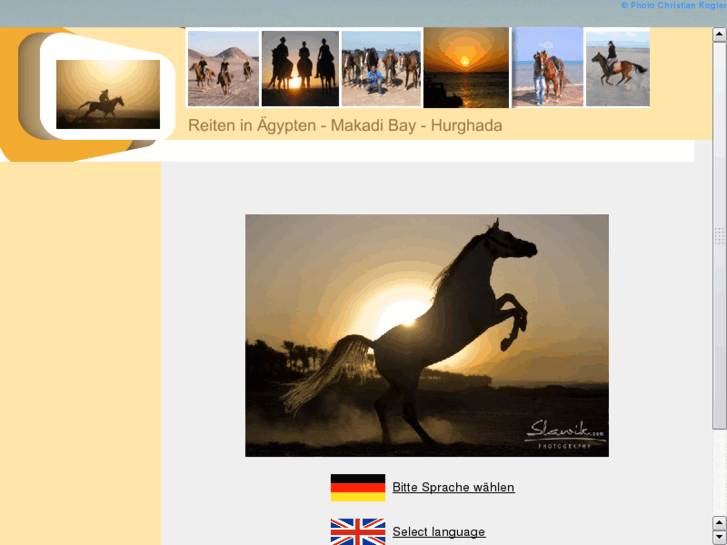 www.reiten-in-hurghada.com