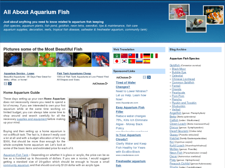 www.allabout-aquariumfish.com