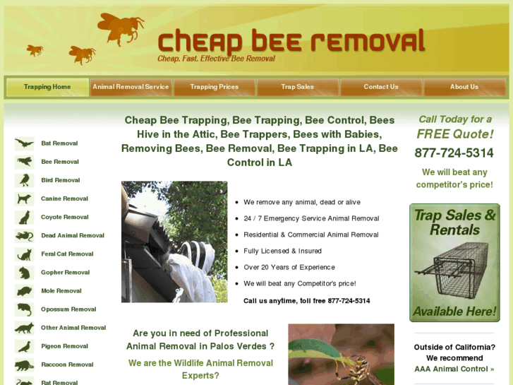 www.cheapbeeremoval.com