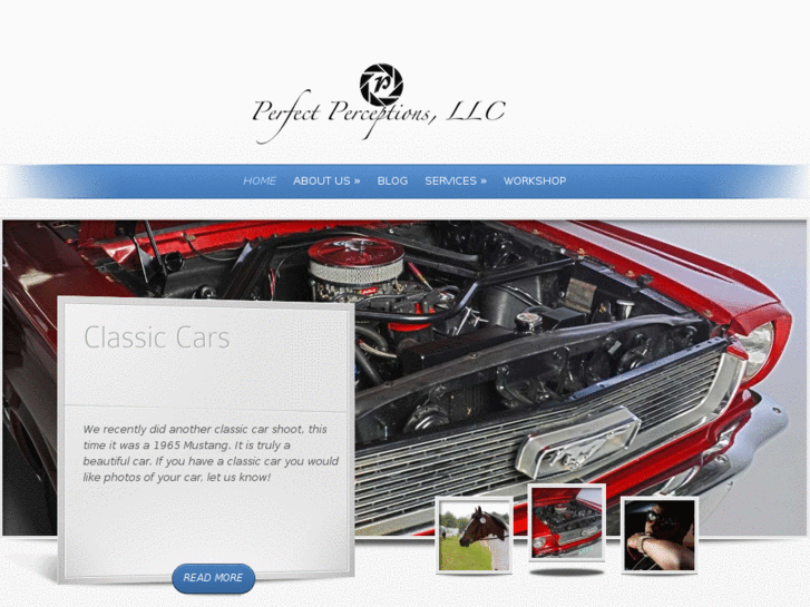 www.perfectperceptions.com