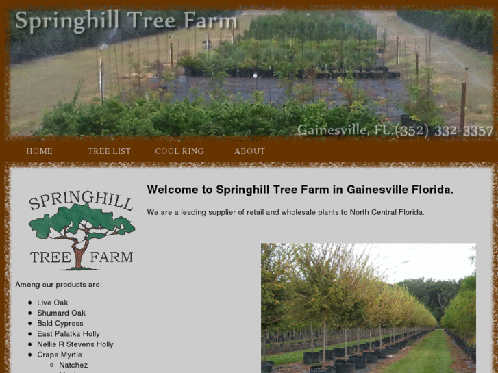 www.springhilltreefarmfl.com