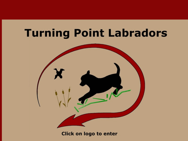 www.turningpointlabradors.com