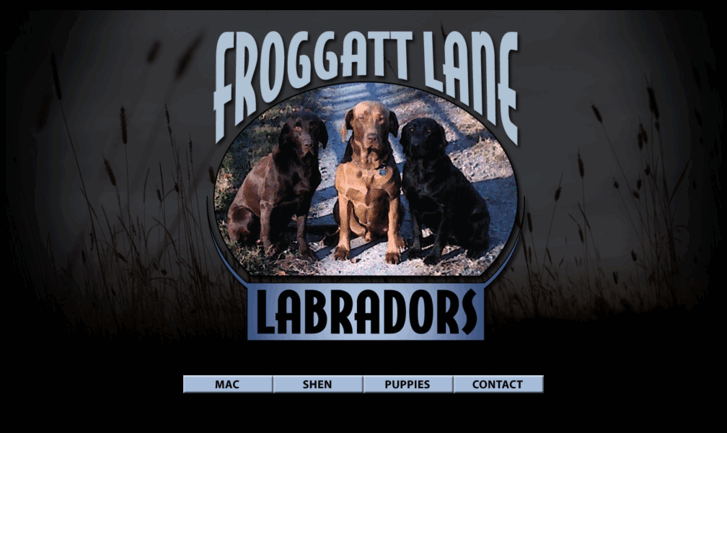 www.froggattlanelabs.com