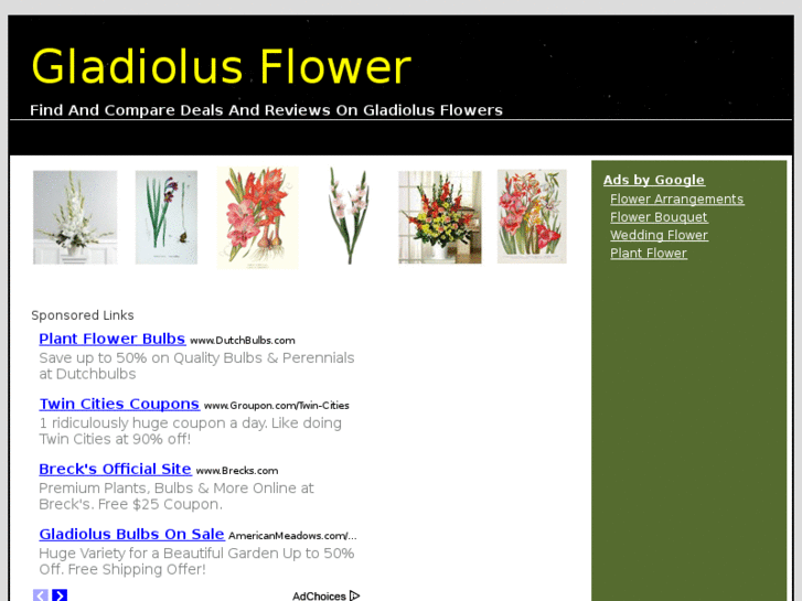 www.gladiolusflower.org