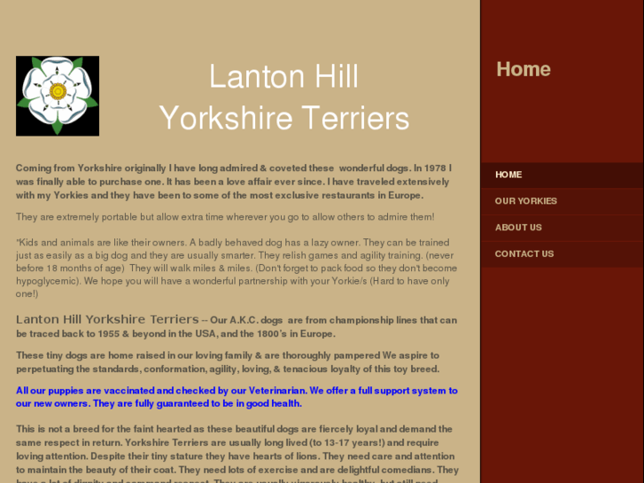 www.lantonhillyorkshireterriers.com