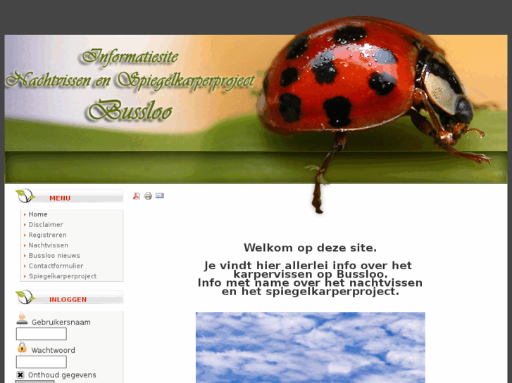 www.nachtvissenbussloo.com