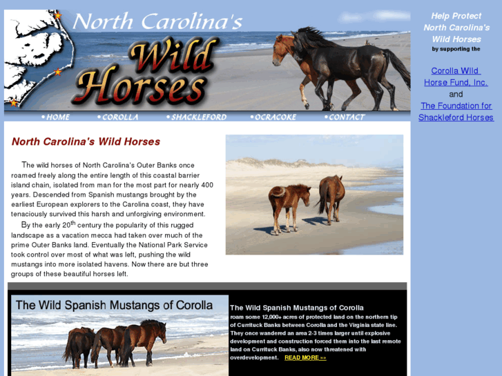 www.ncwildhorses.com