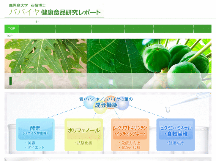 www.papaya-leaf.jp