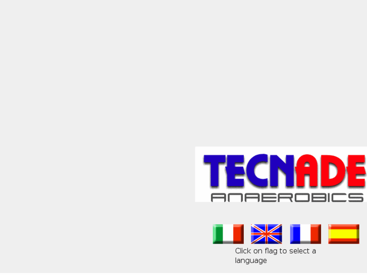 www.tecnadeadhesives.com