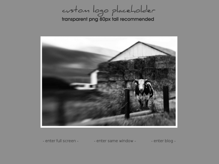 www.alisonnickelphotography.com
