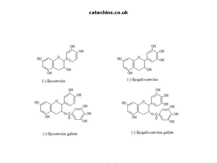 www.catechins.co.uk