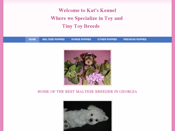 www.katskennelpups.com