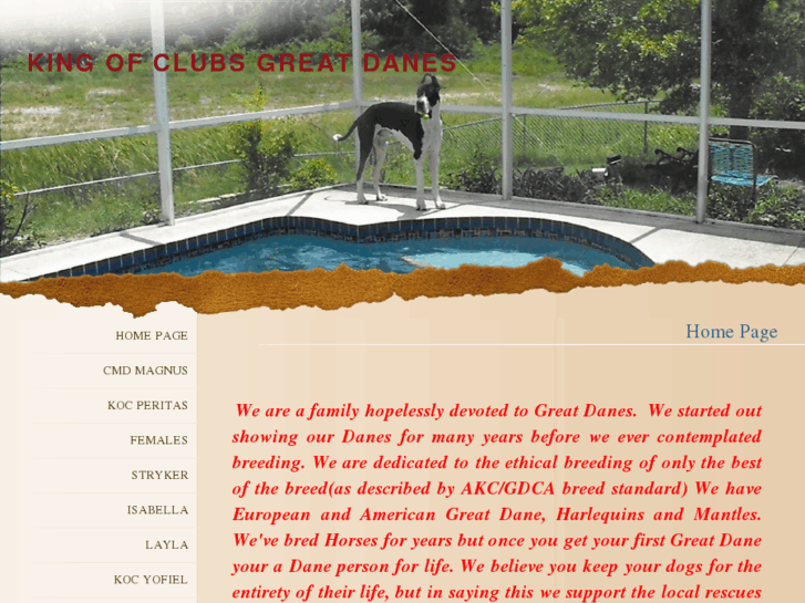 www.kingofclubsgreatdanes.com