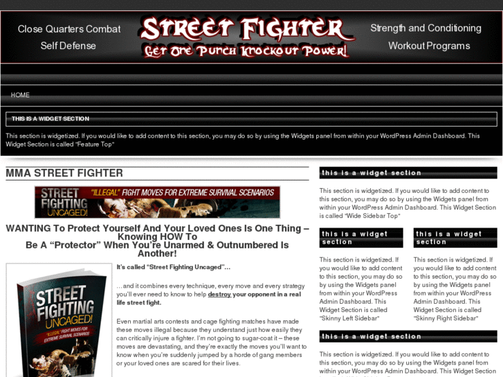 www.mmastreetfighter.com