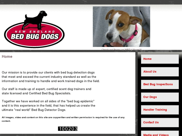 www.newenglandbedbugdogs.com