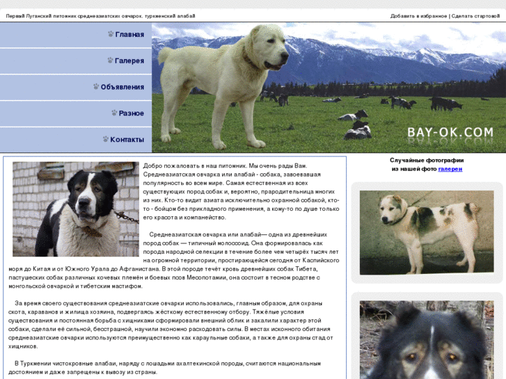 www.bay-ok.com