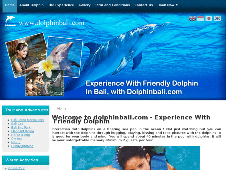 www.dolphinbali.com