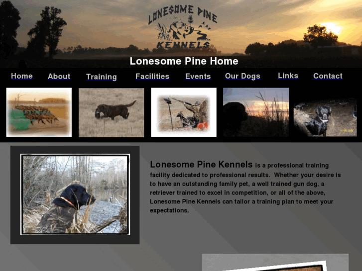 www.lonesomepineretrievers.com