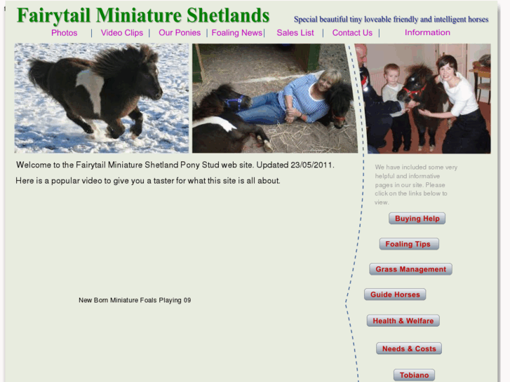 www.shetland-ponies.com