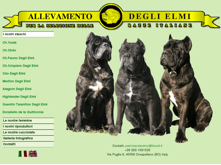 www.deglielmicanecorso.com