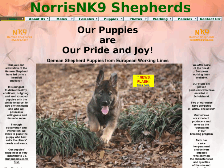 www.norrisnk9.com