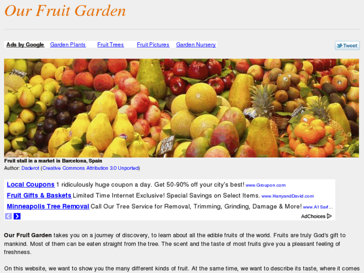 www.our-fruit-garden.com