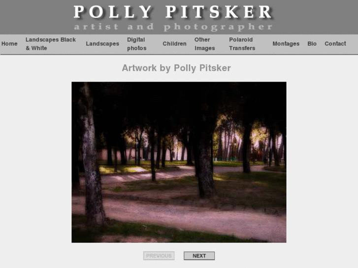 www.pollypitsker.com