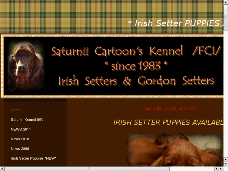 www.saturnii.eu