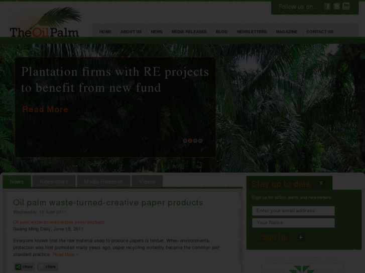 www.theoilpalm.org