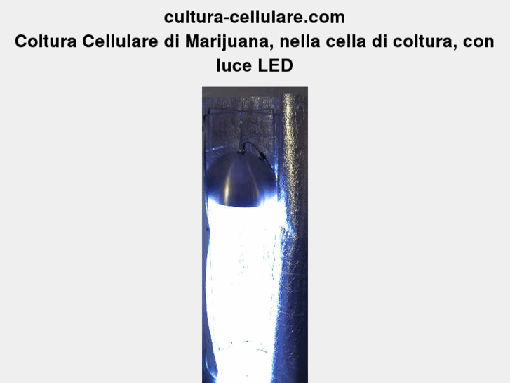 www.coltura-cellulare.com